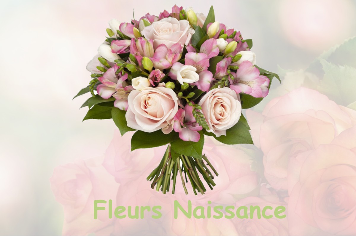 fleurs naissance SAINT-GEORGES-DE-LA-COUEE